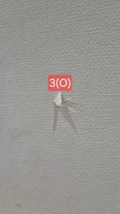 찢어진 벽지 셀프 보수 가이드: 다이소 2,500원으로 되는 경우 vs 안 되는 경우