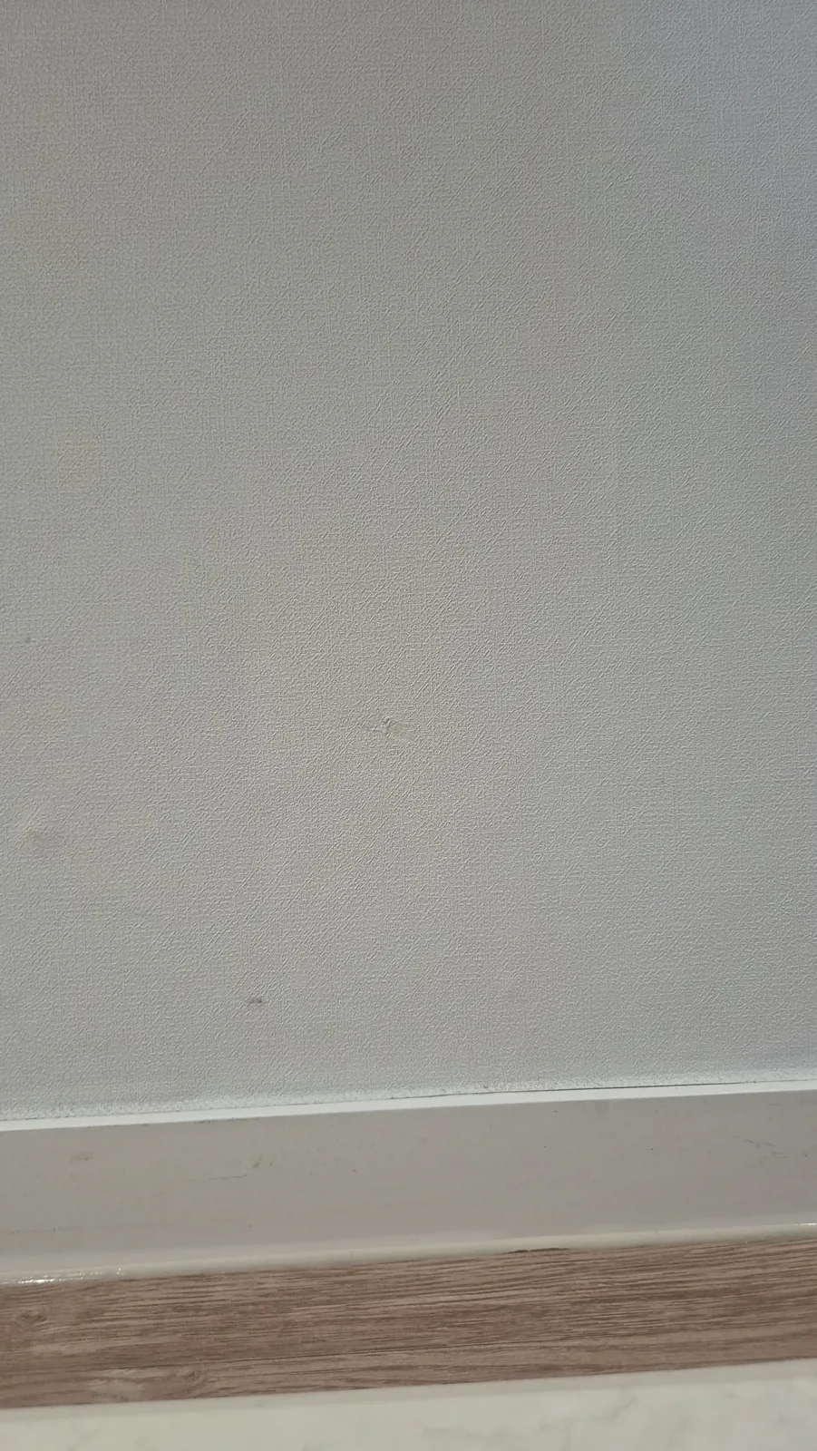 걸레받이와 마루까지 넣은 흰 벽. 3번 자리는 거리에서 잘 안 보인다.